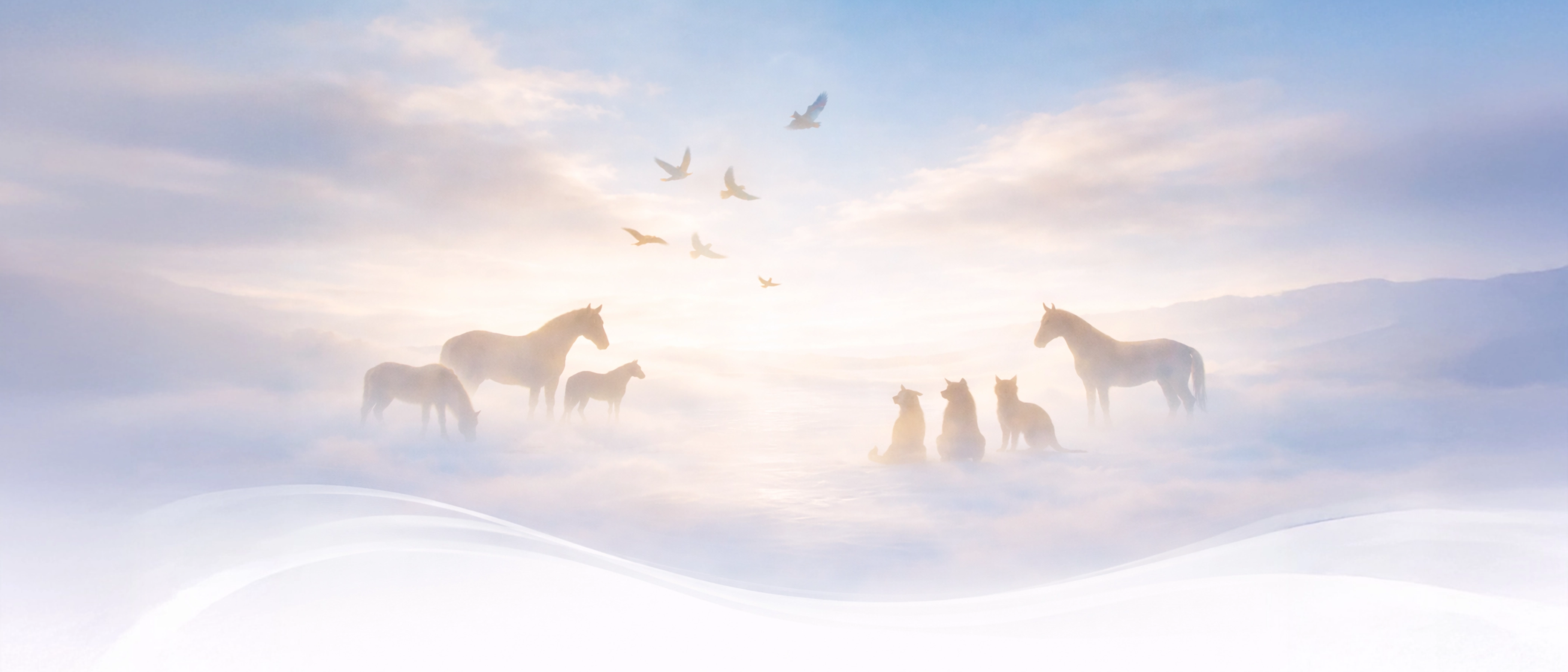 Erinnerungsportal für Tiere